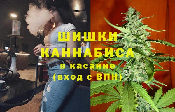 сатива Абаза
