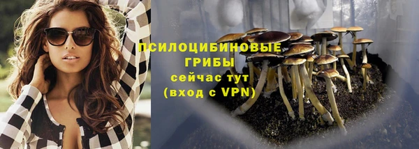 PSILOCYBIN Алзамай