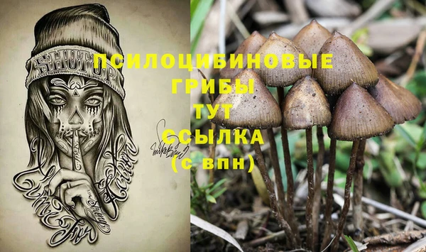 винт Алексин