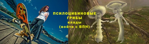 PSILOCYBIN Алзамай